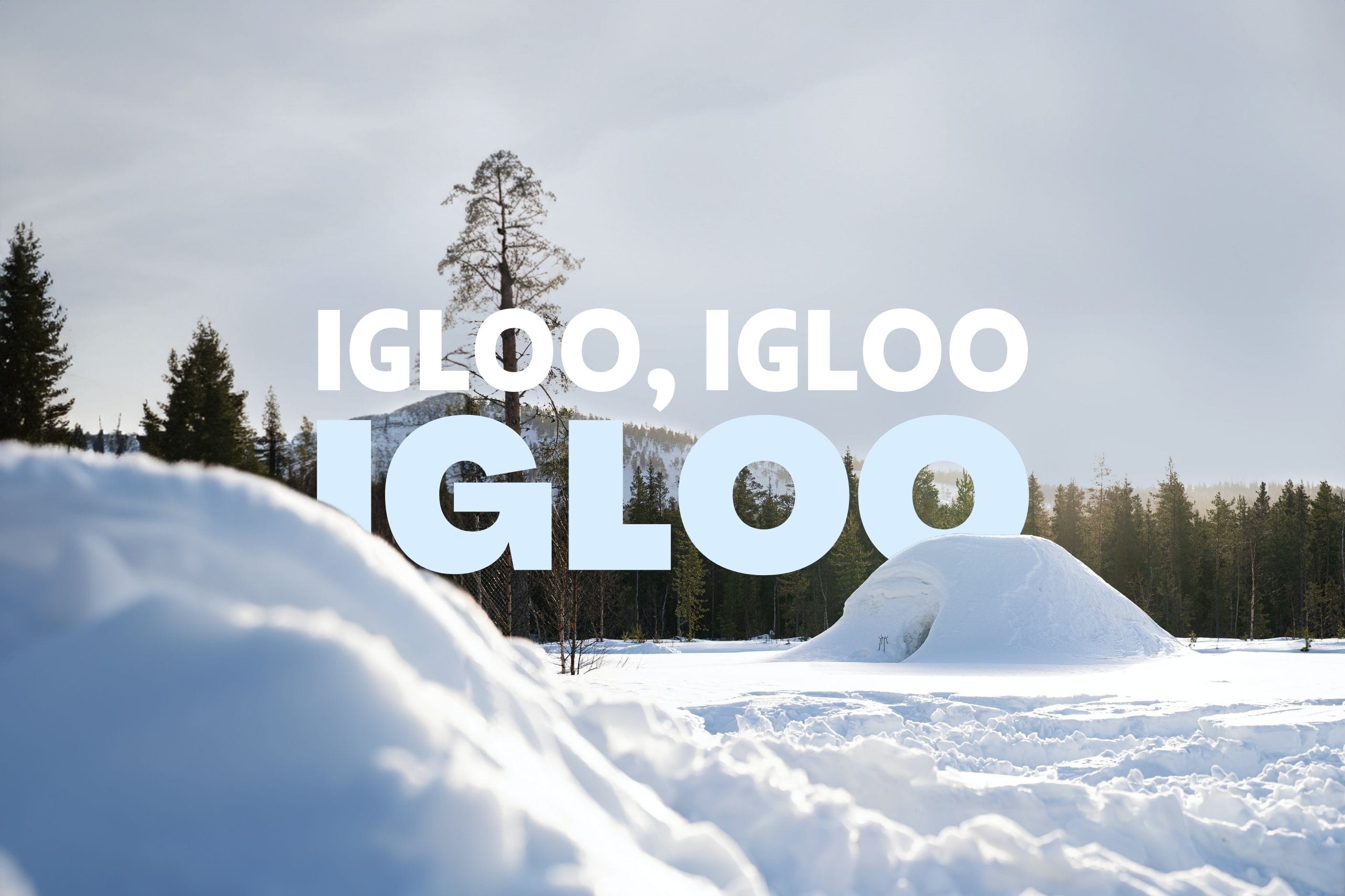 IGLOO IGLOO IGLOO : Construction d'igloo et randonnée en raquettes en Savoie