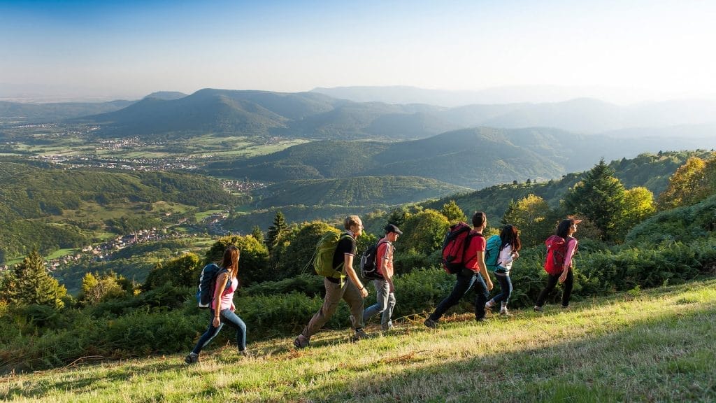 La Traversée du Massif des Vosges : un itinéraire de grande randonnée à découvrir en petit groupe