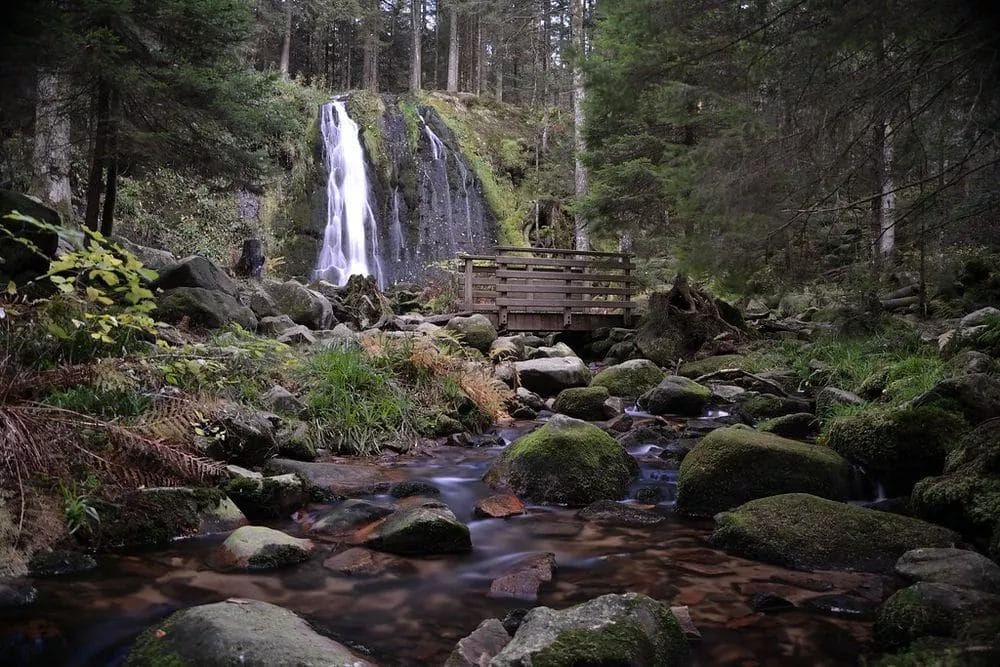 Le Sentier des Cascades, près du lac de Gérardmer, dans les Vosges