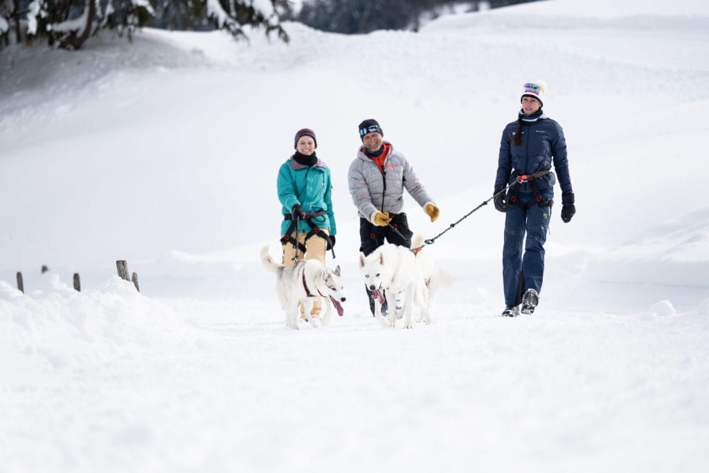 Le Vallon de They, un excellent spot de raquettes à neige et cani-rando !